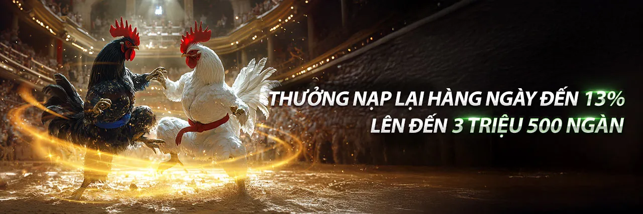 Đá gà KV99 Code - Trải nghiệm cá cược đỉnh cao