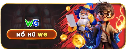 Email Hỗ trợ